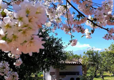 Agriturismo Galea